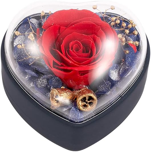 Amazon.co.jp: Whatna プリザーブドフラワー ドライフラワー 創意